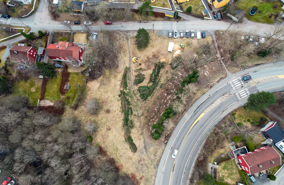 Skogholtet på Flaen midt i april 2026, halvparten er hugget ned for å gjøre plass til smådyrmottaket.