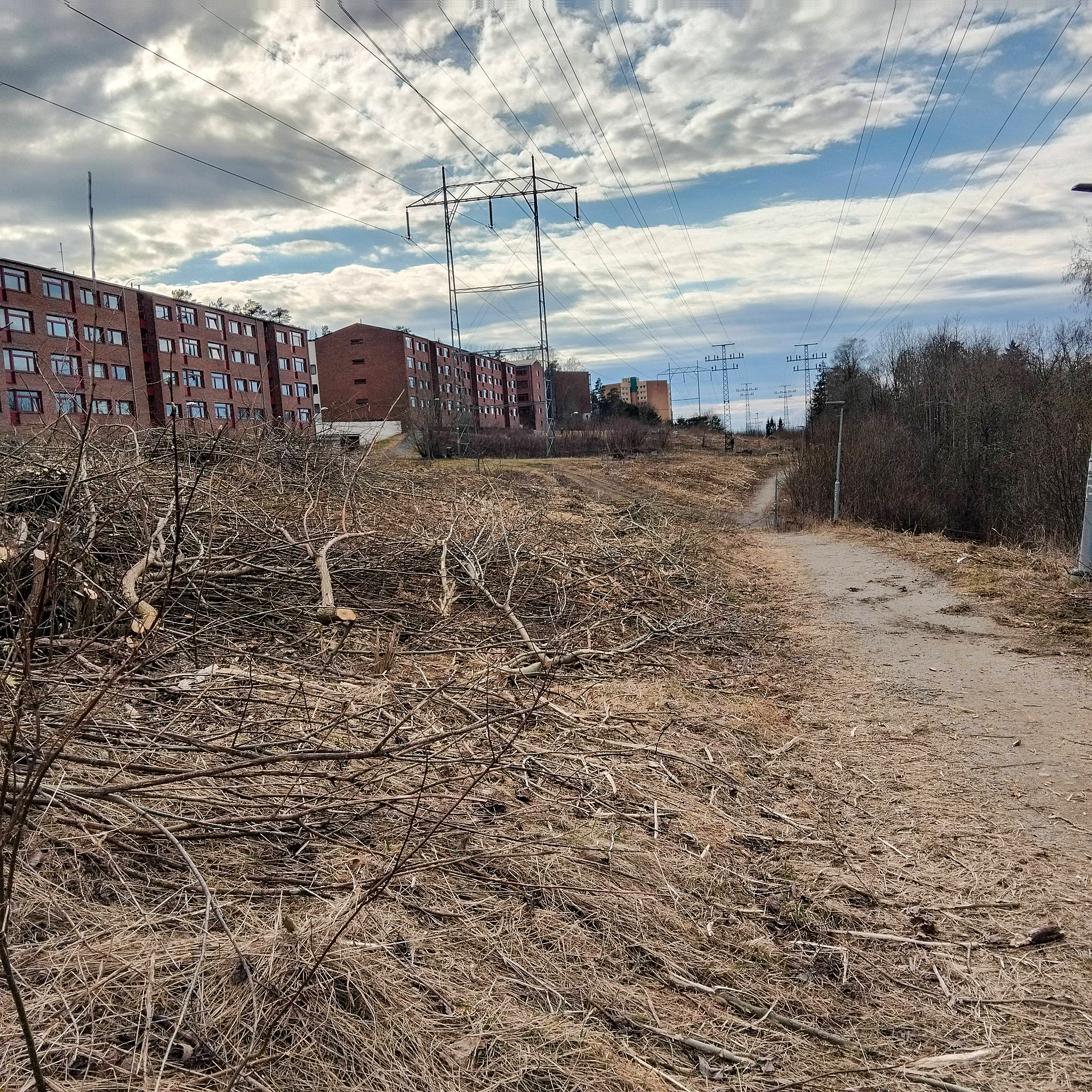 VEDLIKEHOLD: Store mengder kvist og trær ligger igjen etter linjerydding langs kraftlinjene i Ole Reistads vei på Lindeberg. Arbeidet utføres for å sikre avstand til strømførende linjer og hindre strømbrudd.