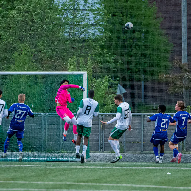 COPYRIGHT 2025 Trond Gjerde