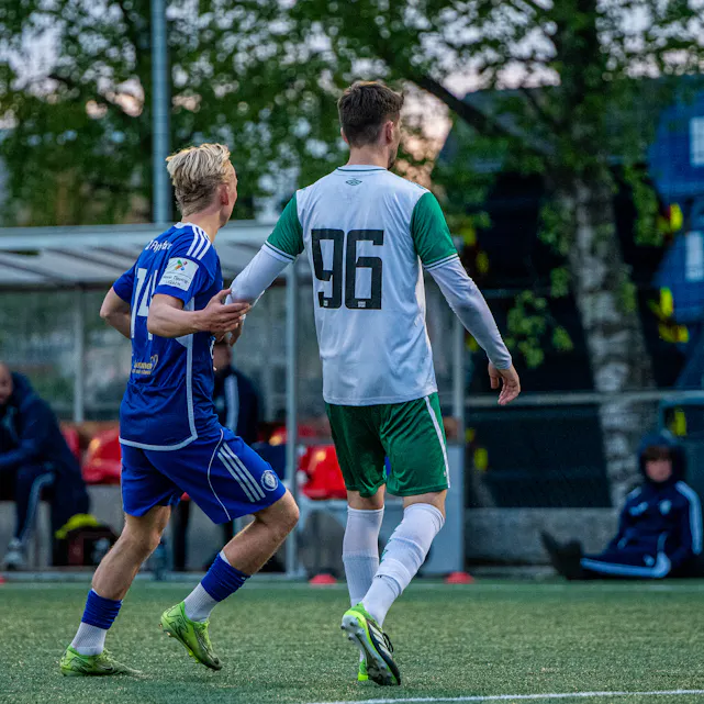 COPYRIGHT 2025 Trond Gjerde