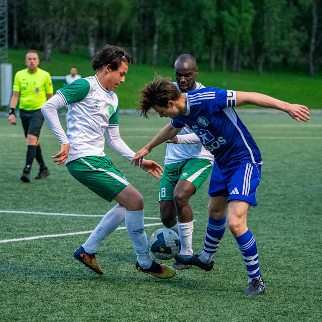 COPYRIGHT 2025 Trond Gjerde