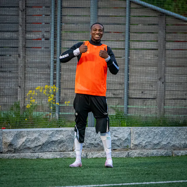 COPYRIGHT 2025 Trond Gjerde
