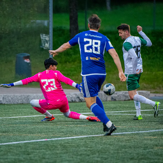 COPYRIGHT 2025 Trond Gjerde