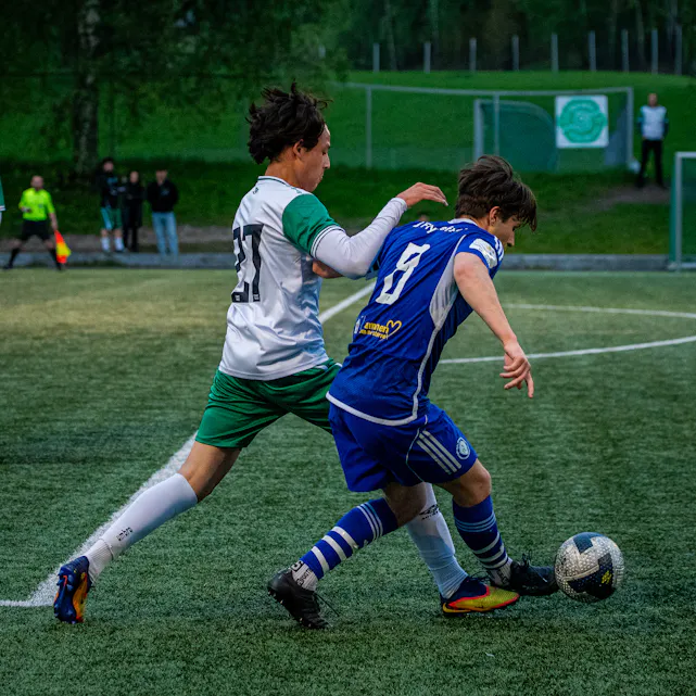 COPYRIGHT 2025 Trond Gjerde