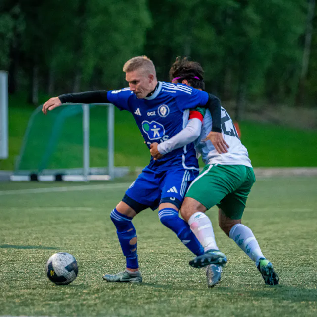 COPYRIGHT 2025 Trond Gjerde