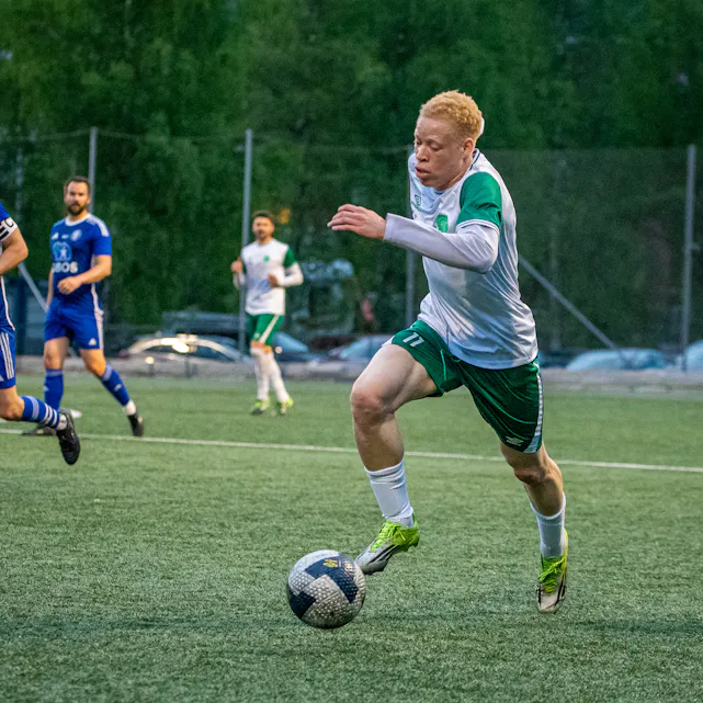 COPYRIGHT 2025 Trond Gjerde