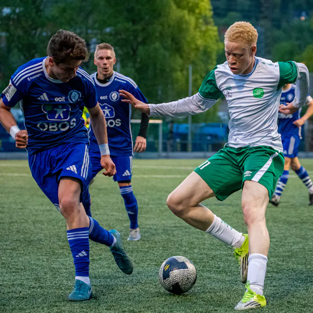COPYRIGHT 2025 Trond Gjerde