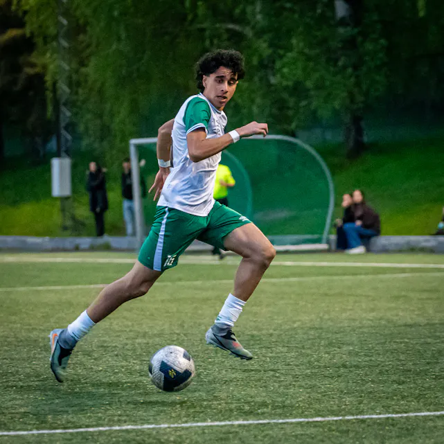 COPYRIGHT 2025 Trond Gjerde