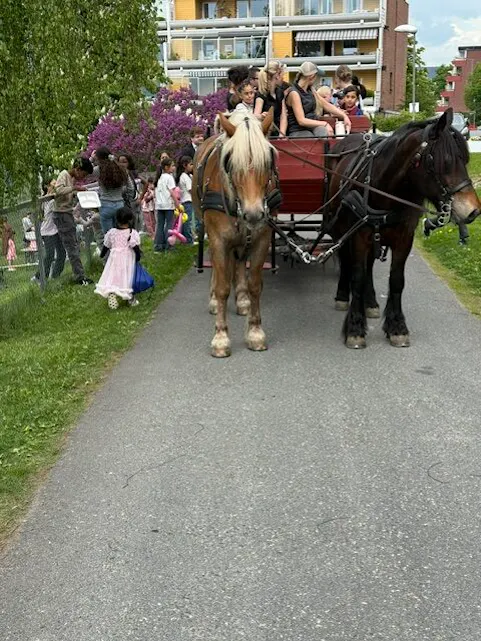 POPULÆRT: Tur med hest og kjerre var også blant de mange populære aktivitetene på festen.