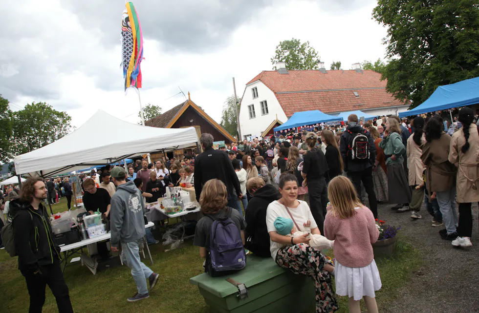 JAPANFESTIVAL PÅ TVETEN GÅRD 2026